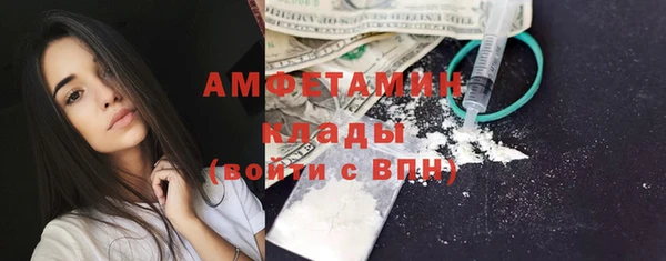 прущие грибы Покров