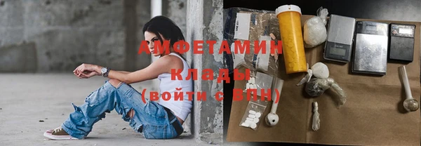 прущие грибы Покров