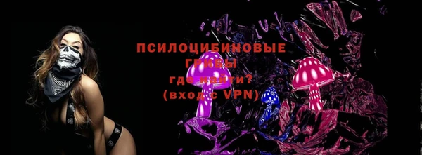 прущие грибы Покров