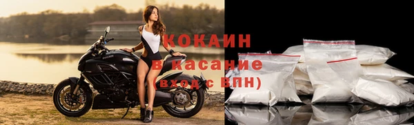 прущие грибы Покров