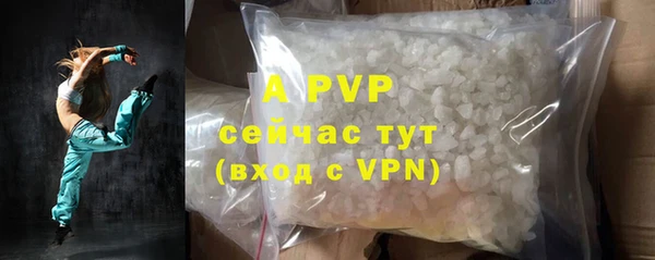 прущие грибы Покров