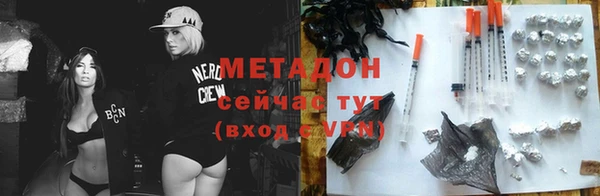 прущие грибы Покров