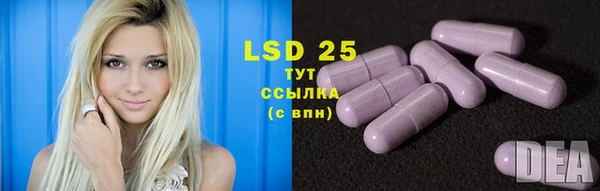 прущие грибы Покров
