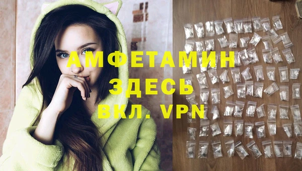 прущие грибы Покров
