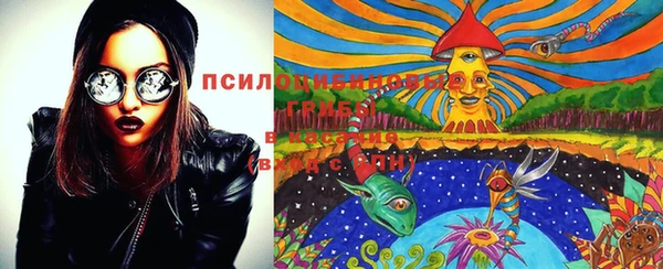 эйфоретик Покачи