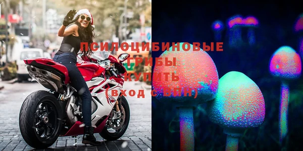 эйфоретик Покачи