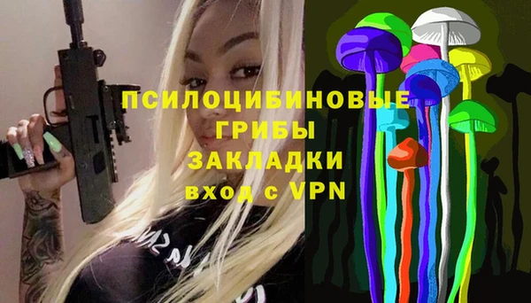 эйфоретик Покачи