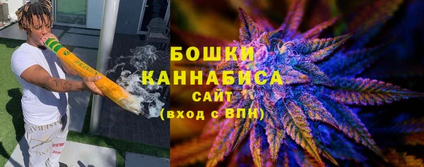 эйфоретик Покачи