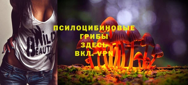 синтетический гашиш Покровск