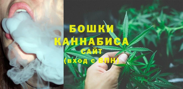 прущие грибы Покров