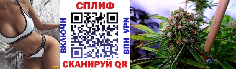 Бошки марихуана конопля  Бабушкин 